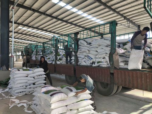 2020.09.10ԭ�ώ���жԭ��