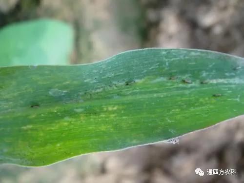 ���הQ����ô�k����ץ�o��Q��Ӱ푮a(ch��n)��!!!